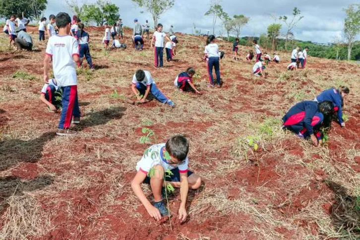 Imagem ilustrativa da imagem Reflorestamento soma 15 mil mudas de árvores nativas no Parque da Raposa