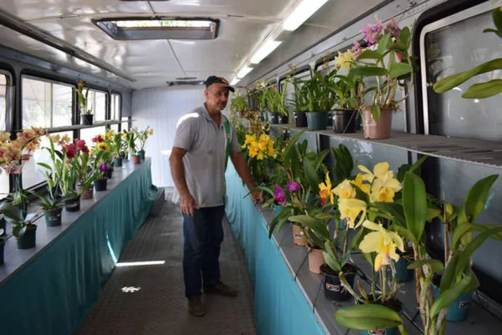 Imagem ilustrativa da imagem Produtor reforma ônibus para vender orquídeas em Ivaiporã