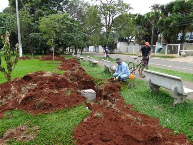 Imagem ilustrativa da imagem Praça ganha luminárias em Arapongas