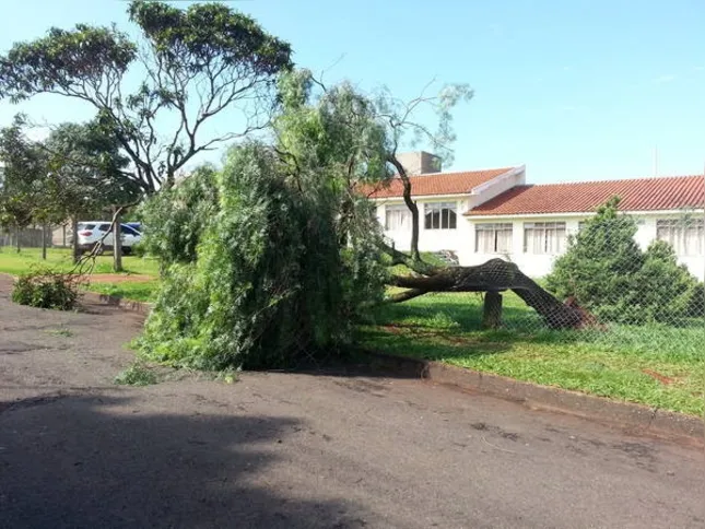 Imagem ilustrativa da imagem Temporal causa estragos na zona sul de Arapongas