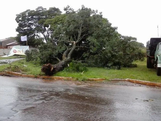 Imagem ilustrativa da imagem Temporal derruba árvores e alaga estradas no Vale do Ivaí