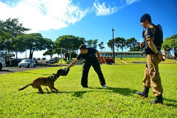 Imagem ilustrativa da imagem 10º BPM inicia implantação do canil 