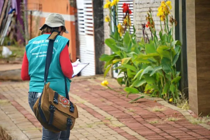 Imagem ilustrativa da imagem Paraná tem 21 cidades com risco de epidemia de dengue