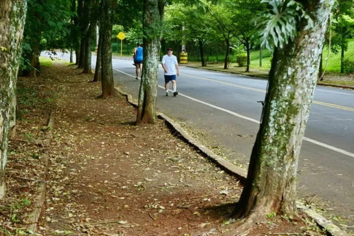 Imagem ilustrativa da imagem Prefeitura licita pista de caminhada no Jaboti