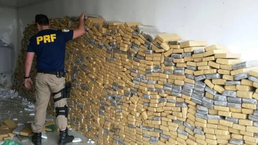 Imagem ilustrativa da imagem PRF bate recorde em apreensões de drogas