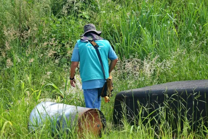 Imagem ilustrativa da imagem Secretaria confirma segunda morte por dengue no Paraná