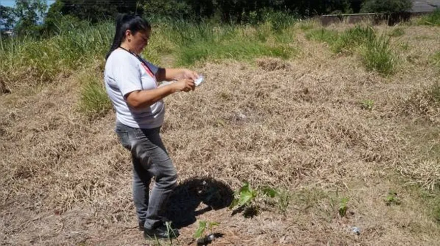 Imagem ilustrativa da imagem Com novos casos, Ivaiporã faz alerta contra dengue