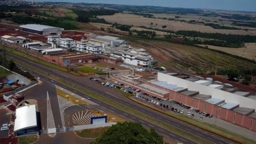 Imagem ilustrativa da imagem Nortox tem novo diretor comercial 