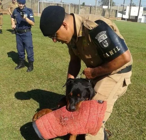 Imagem ilustrativa da imagem Canil de Arapongas ganha reforço 