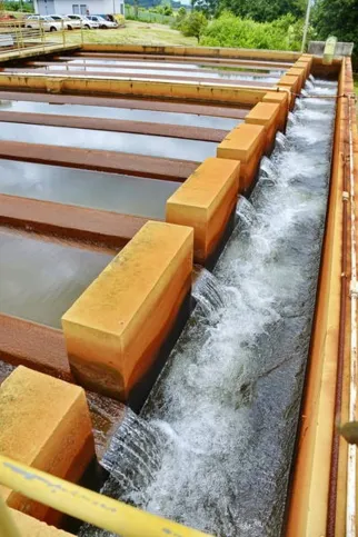 Imagem ilustrativa da imagem Tarifa de água e esgoto vai ficar 10,48% mais cara no Paraná