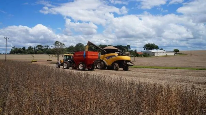 Imagem ilustrativa da imagem Quebra da safra de soja ameaça economia do Vale