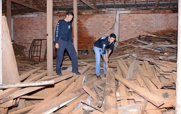 Imagem ilustrativa da imagem Polícia Civil interdita madeireira