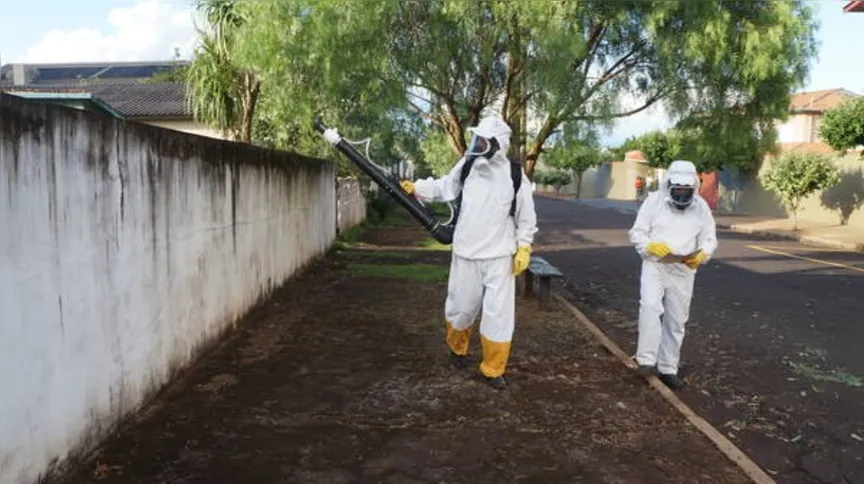 Imagem ilustrativa da imagem Ivaiporã corre risco de epidemia de dengue