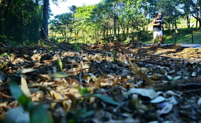 Imagem ilustrativa da imagem Outono inicia com promessa de chuva e calor