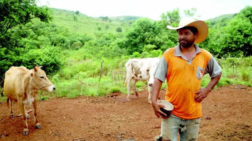 Imagem ilustrativa da imagem Cooperativa triplica lucro em assentamento