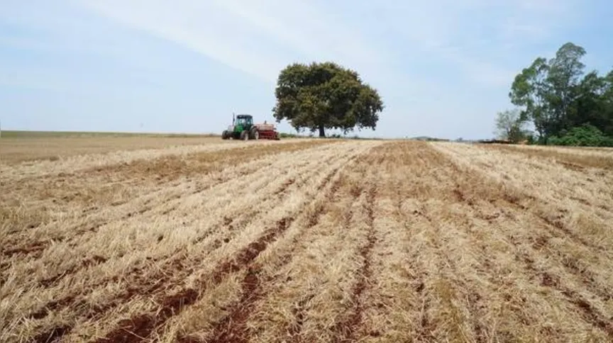 Imagem ilustrativa da imagem Adesão ao CAR ainda é tímida na região
