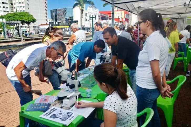 Imagem ilustrativa da imagem Feira de Saúde movimenta praça