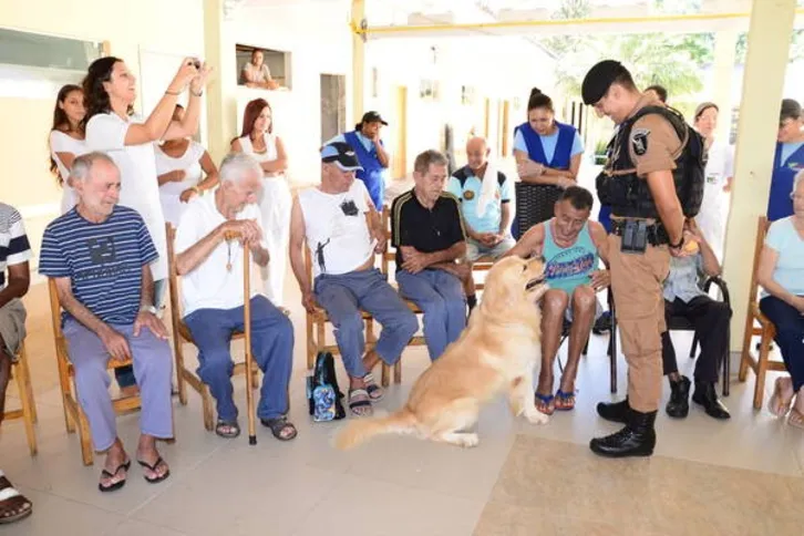 Imagem ilustrativa da imagem Canil da Polícia Militar faz demonstração no asilo