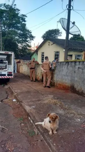 Imagem ilustrativa da imagem Mãe e filha são mortas e têm corpos queimados em São Pedro