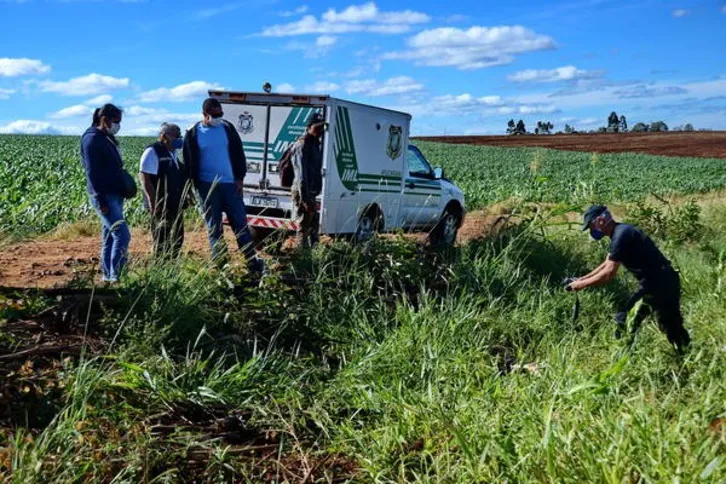 Imagem ilustrativa da imagem Araponguense desaparecida é encontrada morta na zona rural