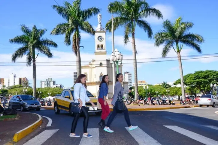 Imagem ilustrativa da imagem Paraná já registrou mais de 1,3 mil atropelamentos em 2016