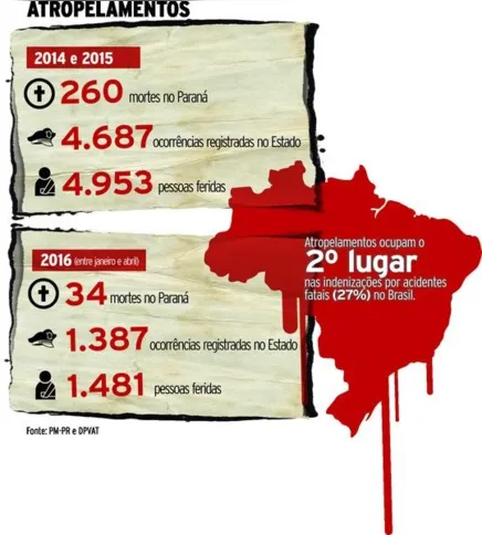 Imagem ilustrativa da imagem Paraná já registrou mais de 1,3 mil atropelamentos em 2016