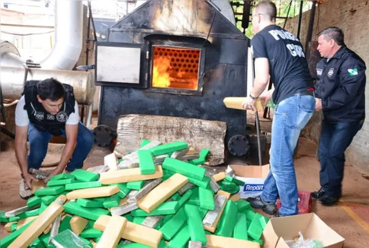 Imagem ilustrativa da imagem Maconha corresponde a 90% das apreensões na região de Apucarana