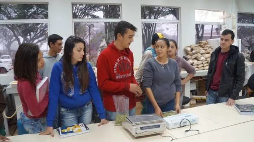 Imagem ilustrativa da imagem Sustentabilidade para o futuro