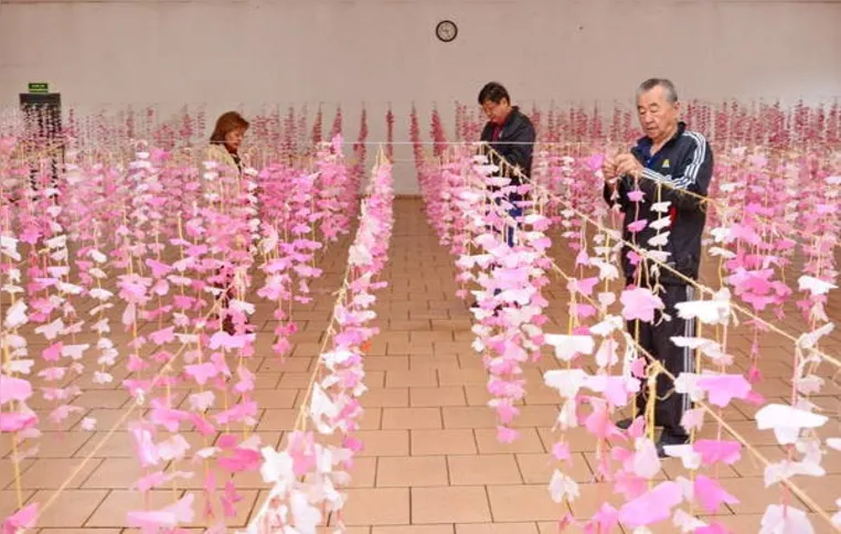 Imagem ilustrativa da imagem Colônia japonesa comemora 80 anos em Apucarana