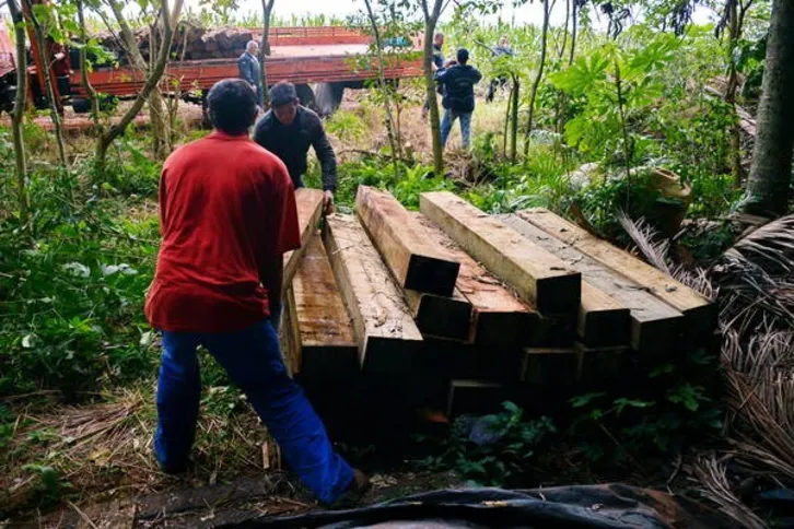 Imagem ilustrativa da imagem Polícia recupera dormentes furtados avaliados em R$ 10 mil