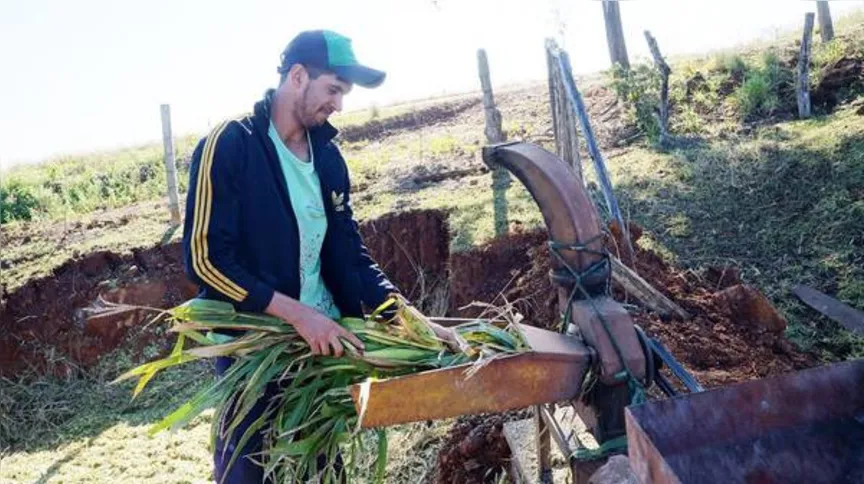 Imagem ilustrativa da imagem Sucessão rural é desafio no Vale do Ivaí