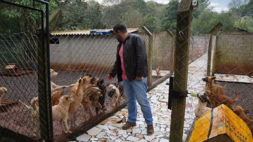 Imagem ilustrativa da imagem Maus tratos a animais podem render  multa de até R$ 1,7 mil em Ivaiporã