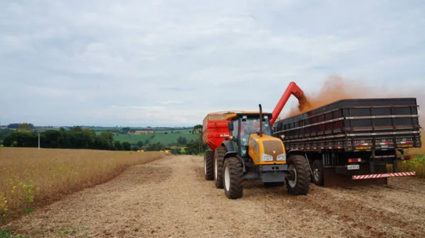 Imagem ilustrativa da imagem Safra de verão vai ser de alto risco
