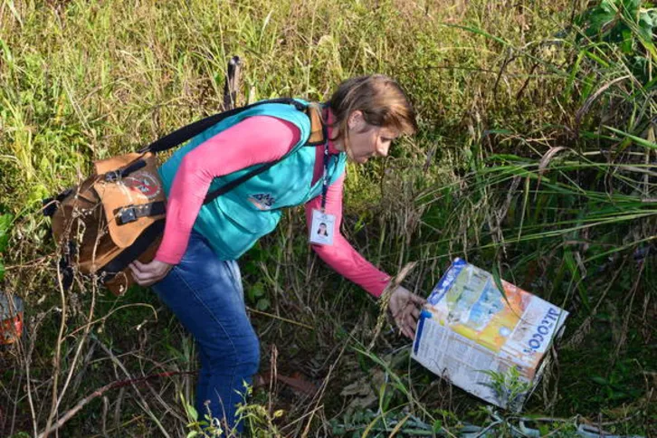 Imagem ilustrativa da imagem Distritos têm baixo índice de infestação do Aedes aegypti