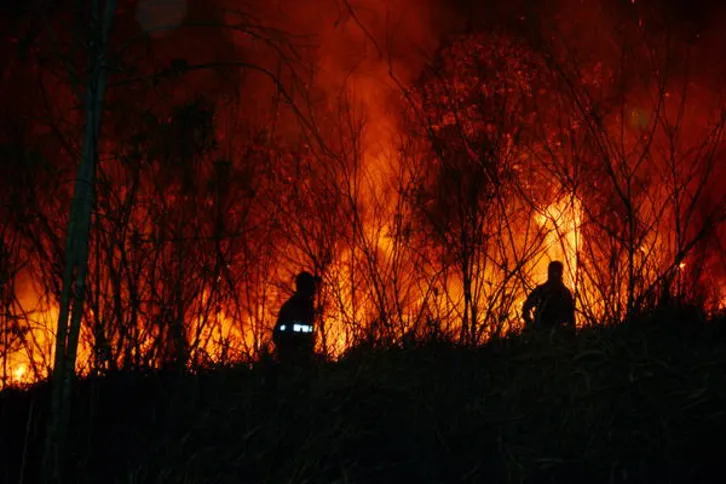 Imagem ilustrativa da imagem Corpo de Bombeiros registra mais  de 300 incêndios florestais em 2016 