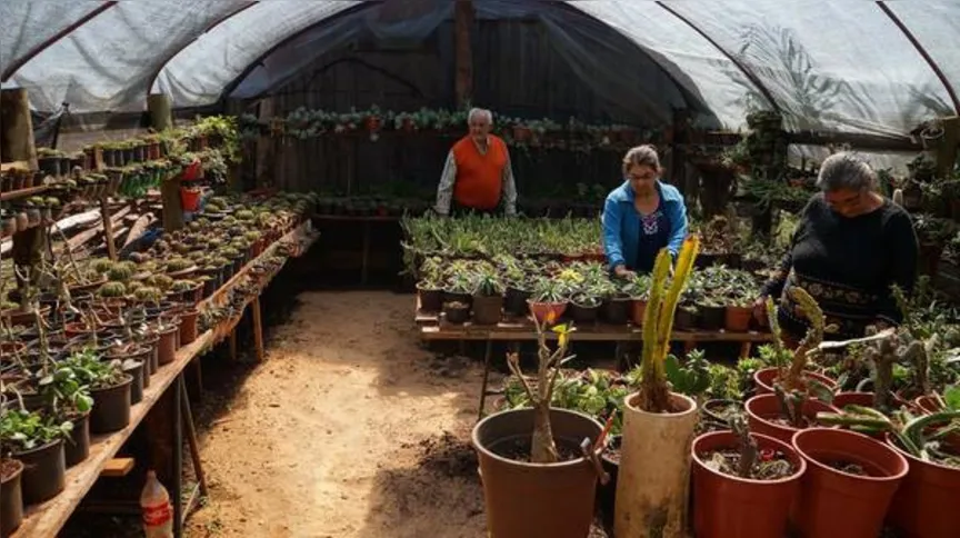 Imagem ilustrativa da imagem Caminhadas fomentam turismo rural