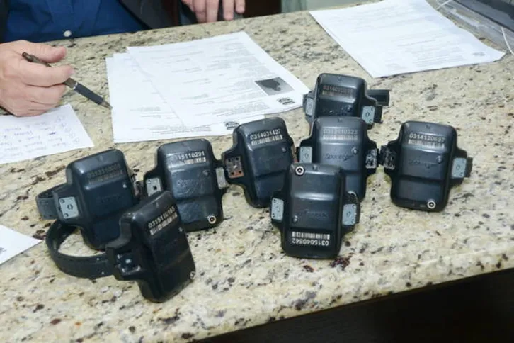 Imagem ilustrativa da imagem Polícia flagra violação de tornozeleiras