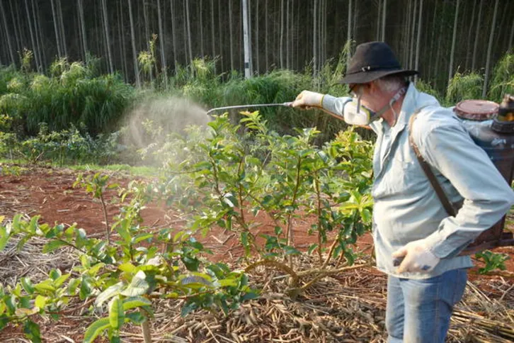 Imagem ilustrativa da imagem Secretaria da Agricultura alerta sobre uso correto de defensivos agrícolas