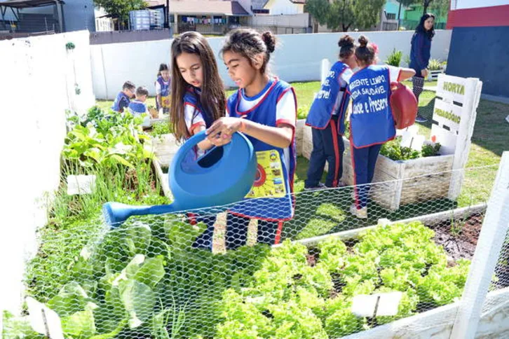 Imagem ilustrativa da imagem Horta ‘pedagógica’ muda rotina de alunos