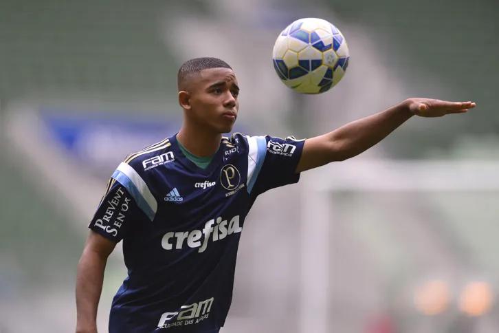 Imagem ilustrativa da imagem Líder Palmeiras encontra Grêmio em crise no Sul