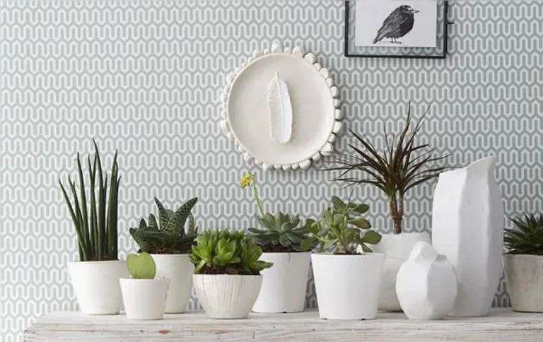Imagem ilustrativa da imagem Flores e plantas anunciam a primavera 