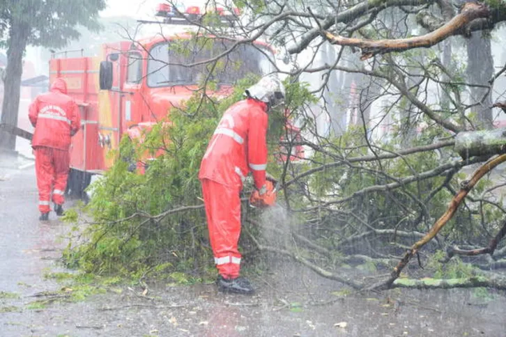 Imagem ilustrativa da imagem Temporal com ventos de quase 70 km/h causa transtornos