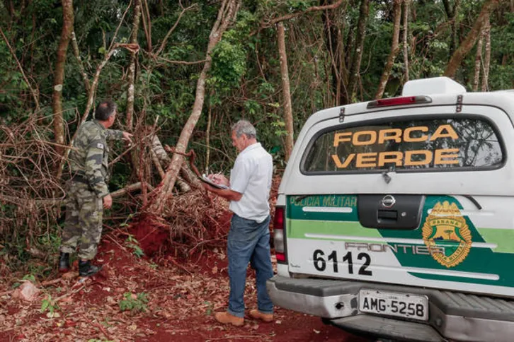 Imagem ilustrativa da imagem Polícia ambiental flagra desmatamento 