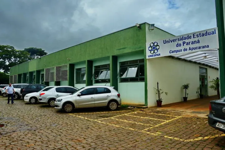 Imagem ilustrativa da imagem Unespar confirma realização do vestibular no próximo domingo