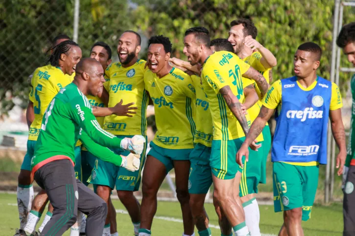 Imagem ilustrativa da imagem Palmeiras pode ser campeão brasileiro neste domingo no “Allianz Parque”