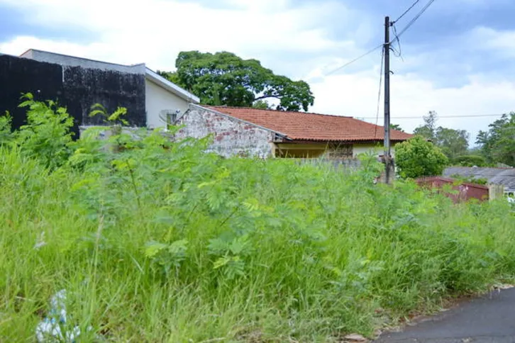 Imagem ilustrativa da imagem Proprietários de terrenos baldios têm até dia 15 para promover roçagem 