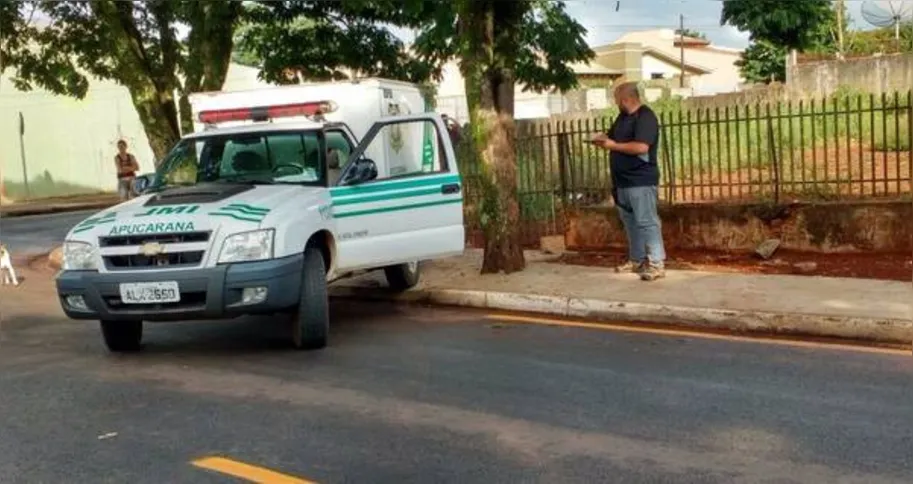 Imagem ilustrativa da imagem Número de assassinatos em Apucarana já é 16% maior que no ano passado